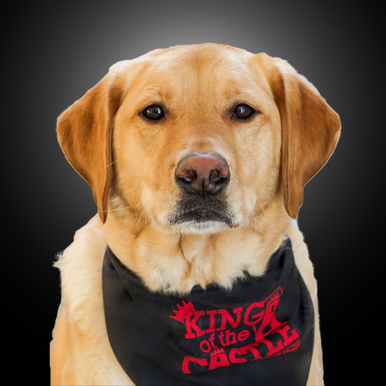 Theodore (Teddy) Iverson